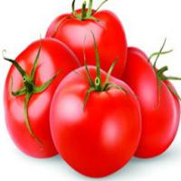 蔬菜系列:西红柿